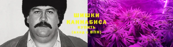 гидра Алексин