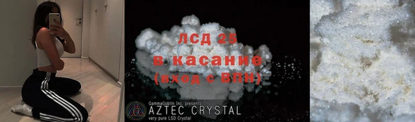 гидра Алексин